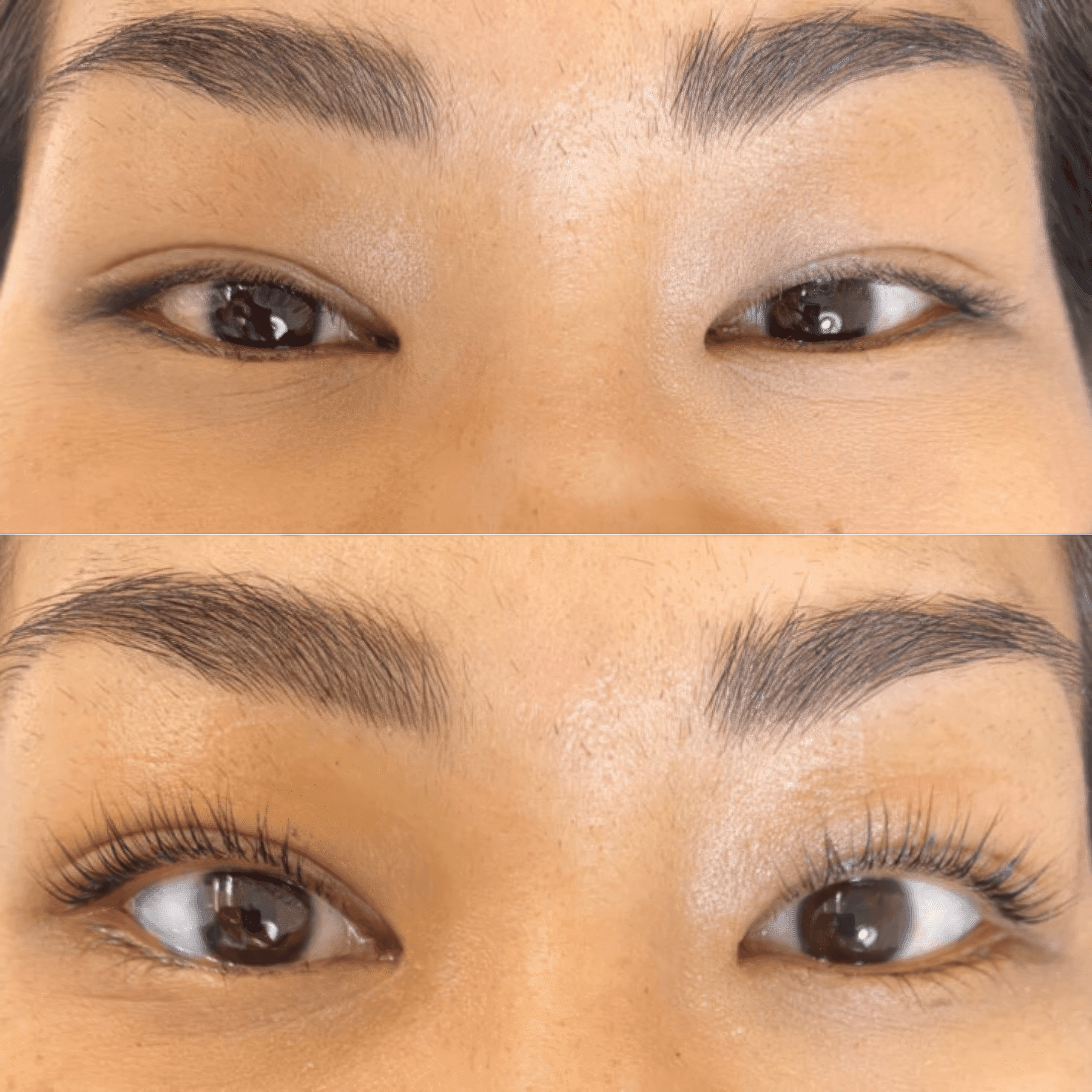 Luxe Lashlift Set (Buy 1 Get 2 FREE)