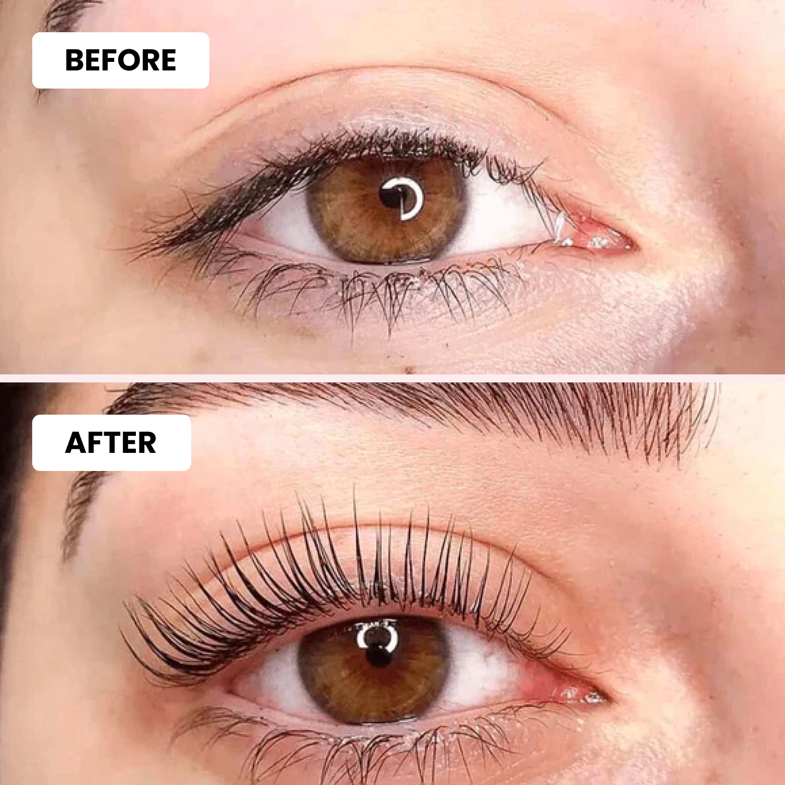 Luxe Lashlift Set + Free Tint Set